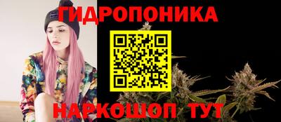 крисы Мариинск