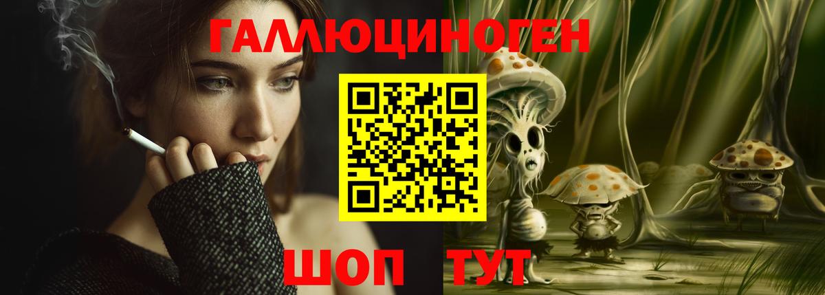 Тара  Псилоцибиновые грибы прущие грибы  Вход с VPN 